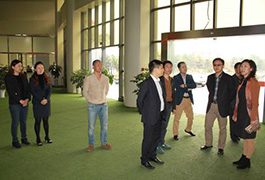 �p���h�����I�������{���Ĵ�����