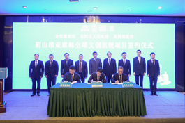 üɽ�S����ķ���H�Ą�(chu��ng)�(xi��ng)Ŀ��ʽ���